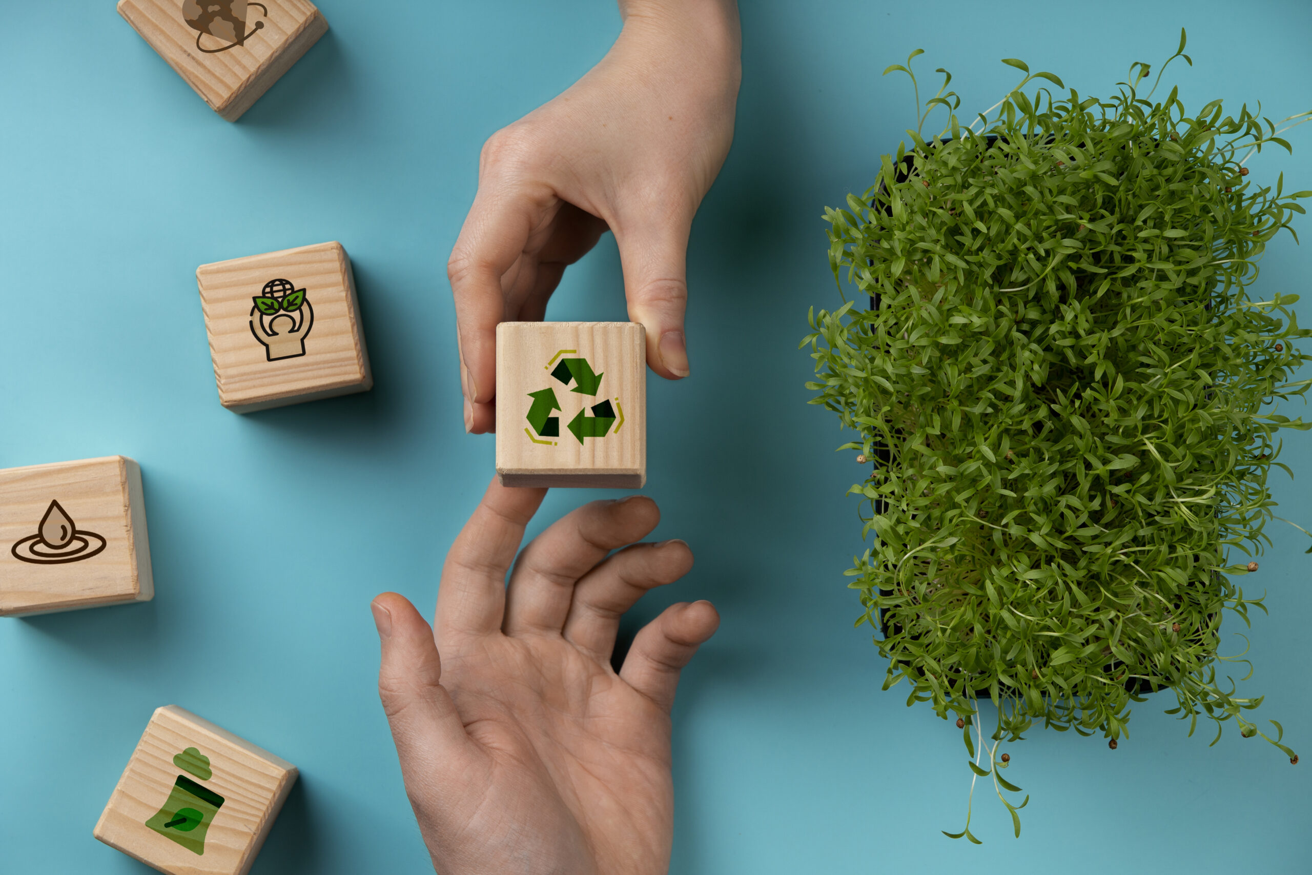 KOBIZE